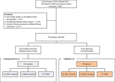 Prediction Breast Molecular Typing of Invasive Ductal Carcinoma Based on Dynamic Contrast Enhancement Magnetic Resonance Imaging Radiomics Characteristics: A Feasibility Study